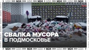 Жители Подмосковья сообщили, что мусор долгое время не вывозят в нескольких ЖК - Москва 24
