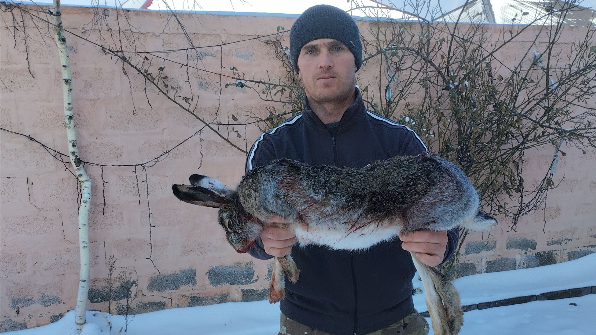 Охота на зайца смотреть онлайн