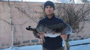 Охота на зайца