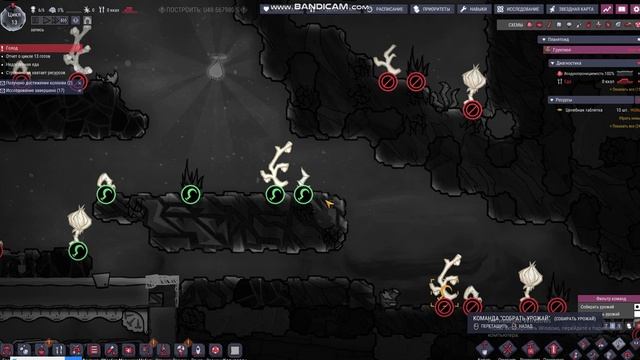 продолжаем играть в Oxygen Not Included (6)