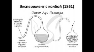19. Суслов Т.В. Конкурс видеороликов РКММИ