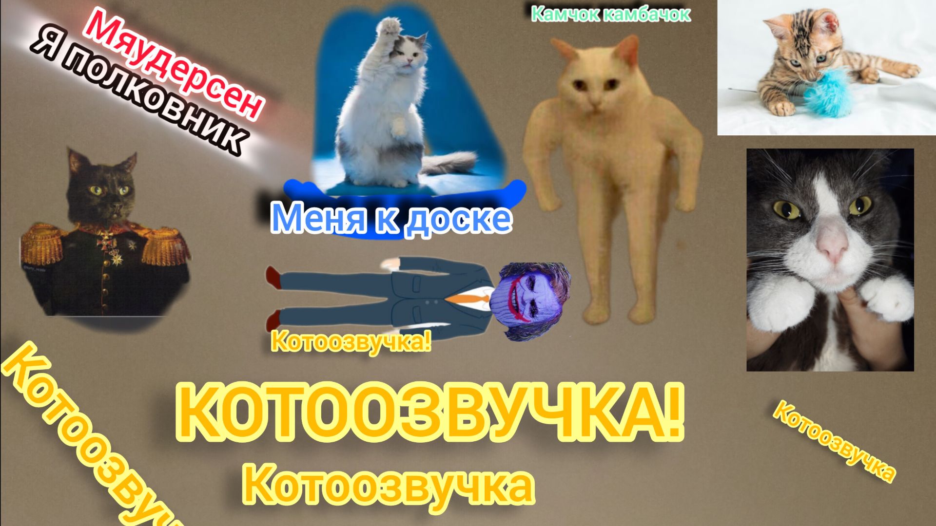 КОТООЗВУЧКА РЖАКА ПОЛНАЯ! 20 МИНУТ СМЕХА И ВЕСЕЛЬЯ!