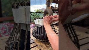 Мастер-класс "Горшочек счастья из ротанга"