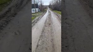 Участник СВО показал губернатору и Путину дороги-болото в посёлке Виноградный