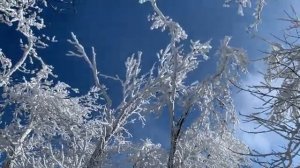 КРЫМ Крымская СКАЗКА Я Оболдел Все в Снегу Опасный Крымский Лес Показываю всё правду Агармыш