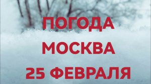 Погода в Москве сегодня 25 февраля -5 снег пушистый ♥️🤷♀️