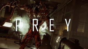 PREY Добыча