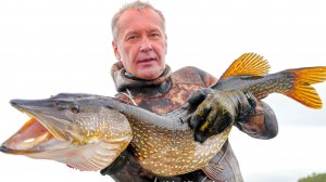 Подводная охота на Аландских островах