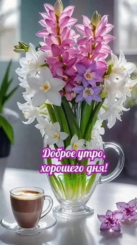 Доброе утро ! смотреть онлайн