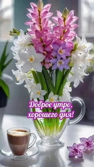 Доброе утро !