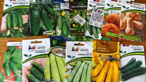 Обзор Семян Огурцов Тыквы и кабачков на 2026