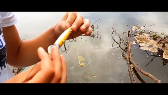 поездка за воблерами ЧАСТЬ 1