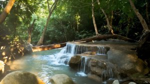 Небольшой водопад в лесу. 💧 Расслабляющие звуки природы, водопад. Белый шум для сна.