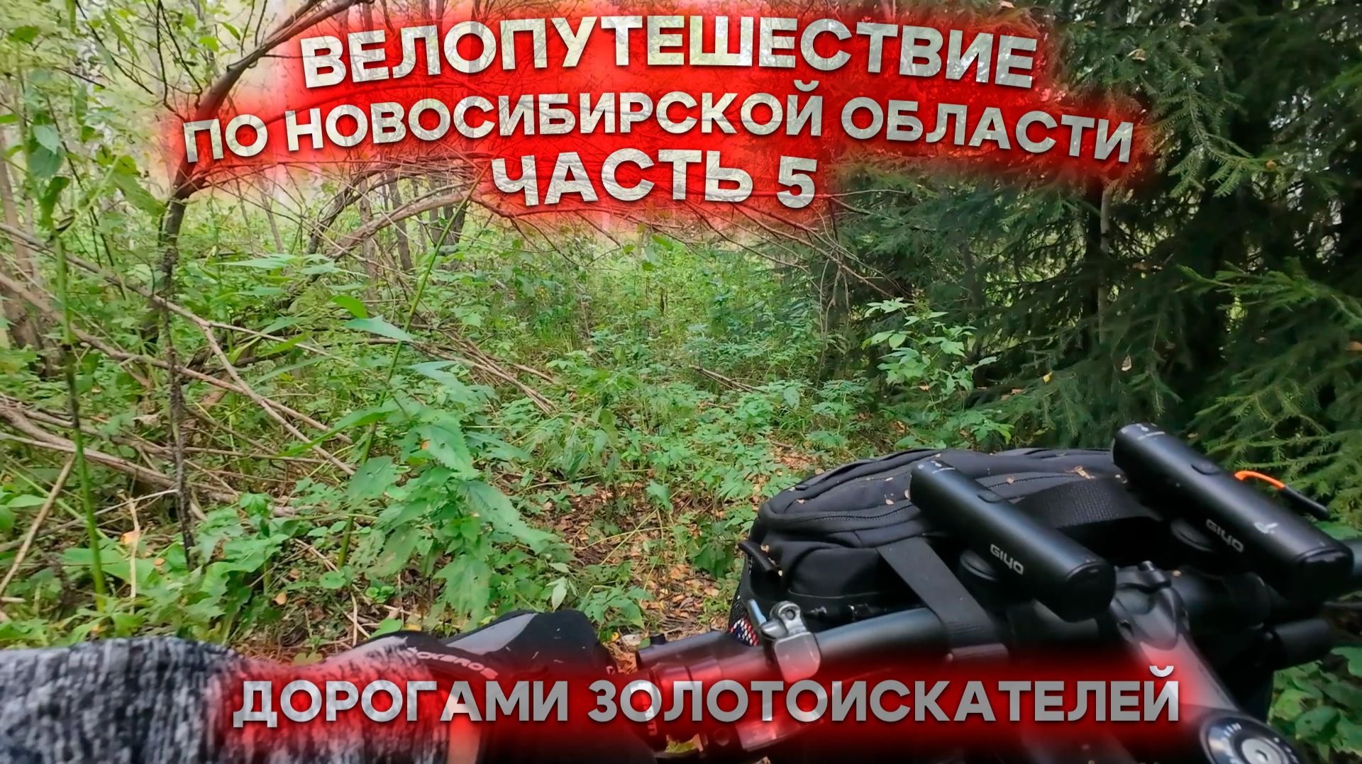 Велопутешествие по Новосибирской области. Часть 5: Дорогами золотоискателей смотреть онлайн