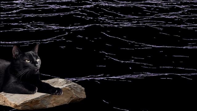 На берегу моря. Шум морского прибоя, всплески волн смотреть онлайн