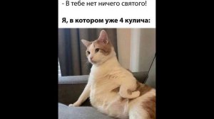 Разговоры с коллекторами 111