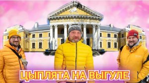 ЦЫПЛЯТА НА ПРОГУЛКЕ ХОТЕЛИ БЫ ЖИТЬ В ЖЕЛТОМ ДОМИКЕ. ЖИЛОЙ ДОМ ВОЕННО-ИНЖЕНЕРНОЙ АКАДЕМИИ.