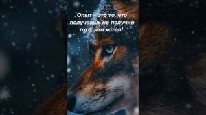 Душевный Шансон💣💯 
Поговорим о Жизни,Пацаны....💥☝️