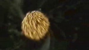 ЮРИЙ_ЗИБОРОВ___альбом_BEZDNA_1997_г___djkuvalda___Yuri_Zibor