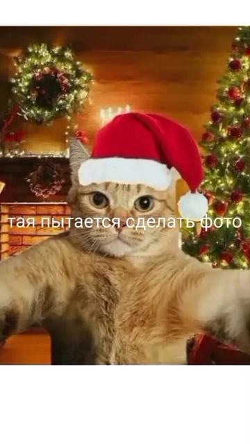 как мы проводим новый год