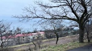 ОДЕССА 26 ФЕВРАЛЯ 2026. ИЗ РАБОТНИКОВ ТЦК ВОЕННЫХ СДЕЛАТЬ НЕВОЗМОЖНО! БУСИФИКАЦИЯ - ЯЗЫК ВРАГА