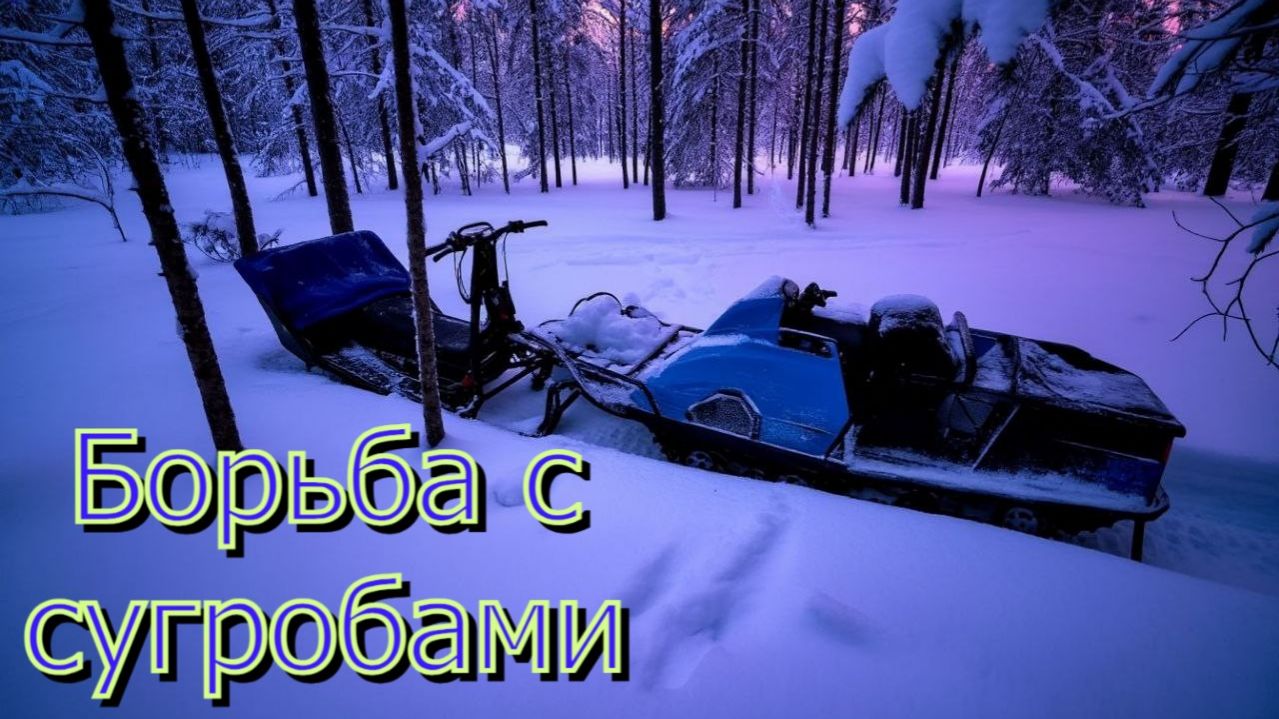 ЛЕСНЫЕ ТАЙНЫ: В ПОИСКАХ ПУШИСТОГО СНЕГА