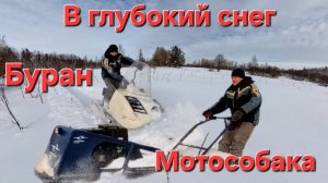 Буран едет. Мотособака зарывается.  В глубоком снегу ❄️