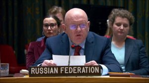 Василий Небензя. Выступление на заседании СБ ООН по Украине 24 февраля 2026 года.