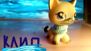 LPS клип айсберг