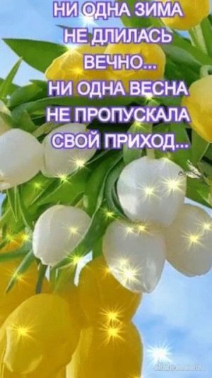 А В ДУШЕ УЖЕ ВЕСНА.Shorts.