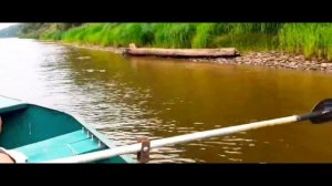 поездка за воблерами ЧАСТЬ 90