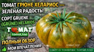 Томат Грюне Хелариос — зелёная радость! Сорт Gruene (Grüne) Helarios. Полный обзор и мои впечатления
