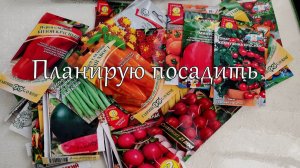 Обзор.Что планирую посадить в этом году