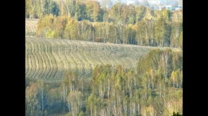 Август житом в полях расплескался - авторская песня