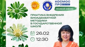 Применение биоадекватной методики в государственной школе 26.02.26г.