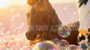 Лошади shleich играют в правду или действие.