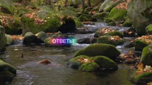 Действуй и узнаешь...