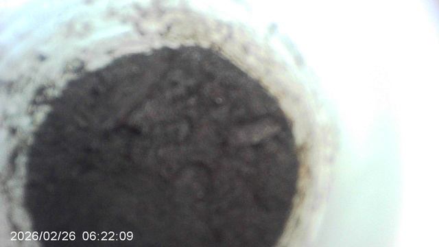 Обзор: семена кабачков, посаженные в феврале, всходов ещё не дают