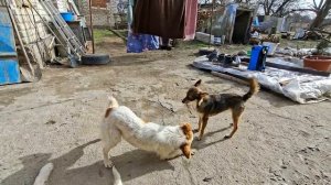 Февральские будни на Хуторе.