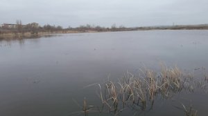 Разведка на пробную, зимнюю рыбалку на пруд вблизи ЖК Форт Нокс Холидей, Несебр, Сл. Берег, Болгария