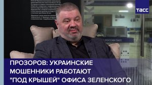 Прозоров: украинские мошенники работают "под крышей" офиса Зеленского