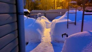 Когда ж весна? Зима уж надоела.