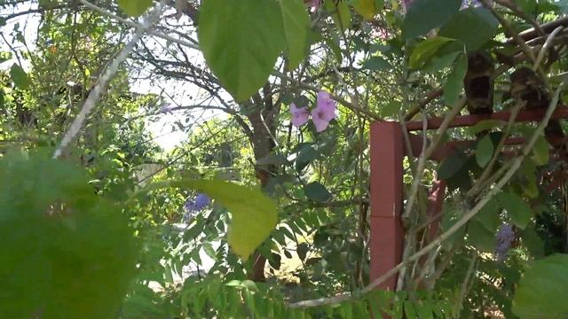 то ,,,чего мы не знаем