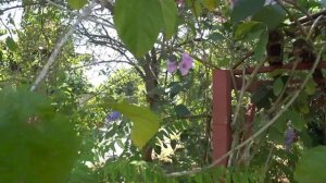 то ,,,чего мы не знаем