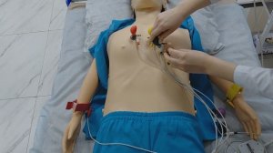 Проведение электрокардиографии (аккредитация лечебное дело, фельдшера)