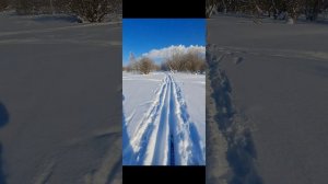 с 26 февраля 2026г ушла на лыжные в лес ,погода отличная 👈👍