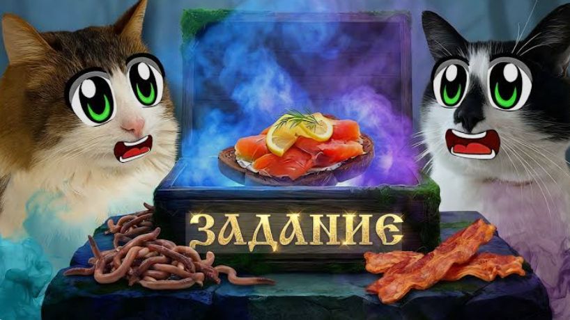 КТО ВЫПОЛНИТ ЗАДАНИЕ Челлендж ПРОВЕРКА питомцев А ну-ка Давай-ка! МИСТИКА В 3_00 смотреть онлайн