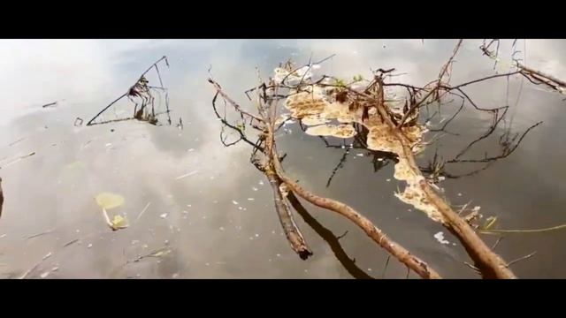 поездка за воблерами ЧАСТЬ 2