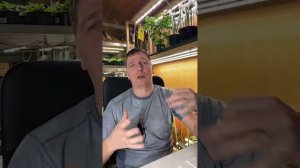 Прямой эфир. Планы на лето 2026