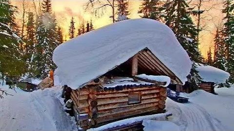 В избе побывал зверь! Приехали на хариусовую рыбалку. Вечер в лесной избушке. смотреть онлайн